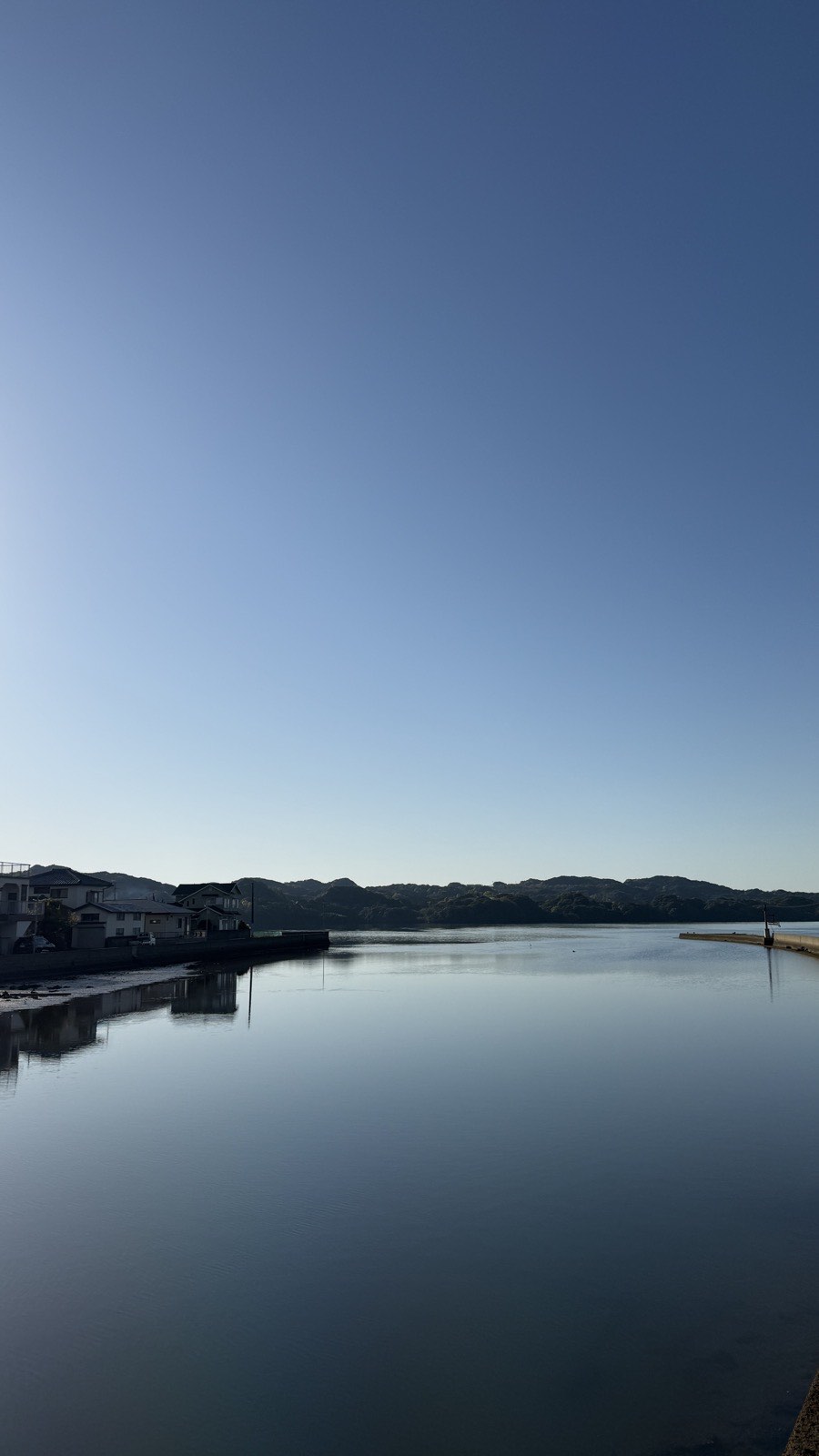 朝の大江川。水面は鏡のように静かで、むこうの山がうつっている