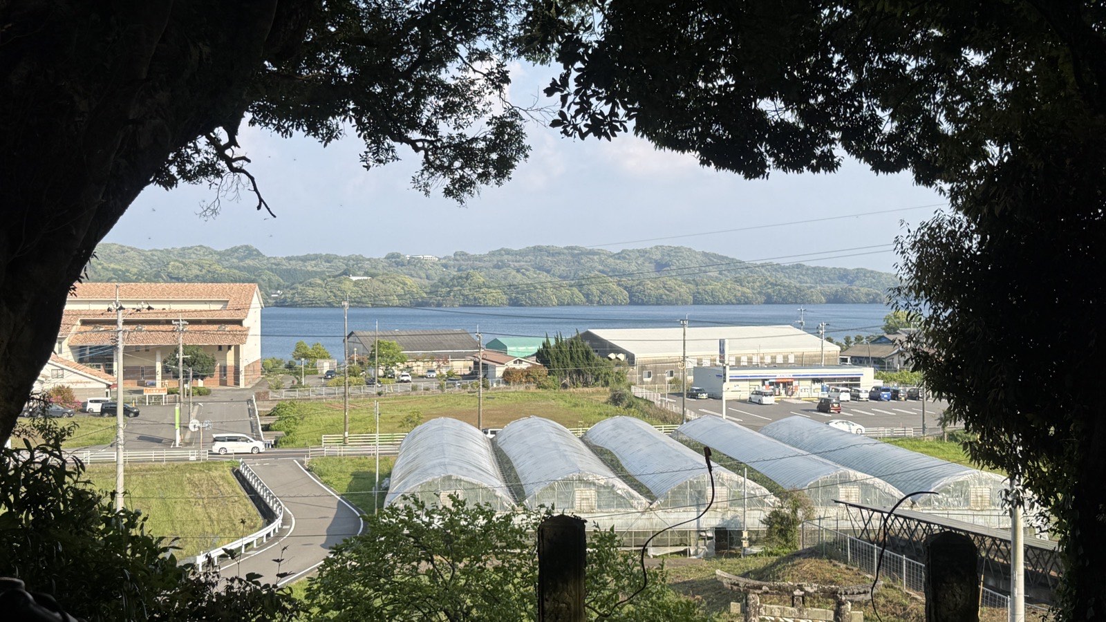 木のえだごしに見おろした形上。ビニールハウスと家なみ、そのむこうに湾がひろがる