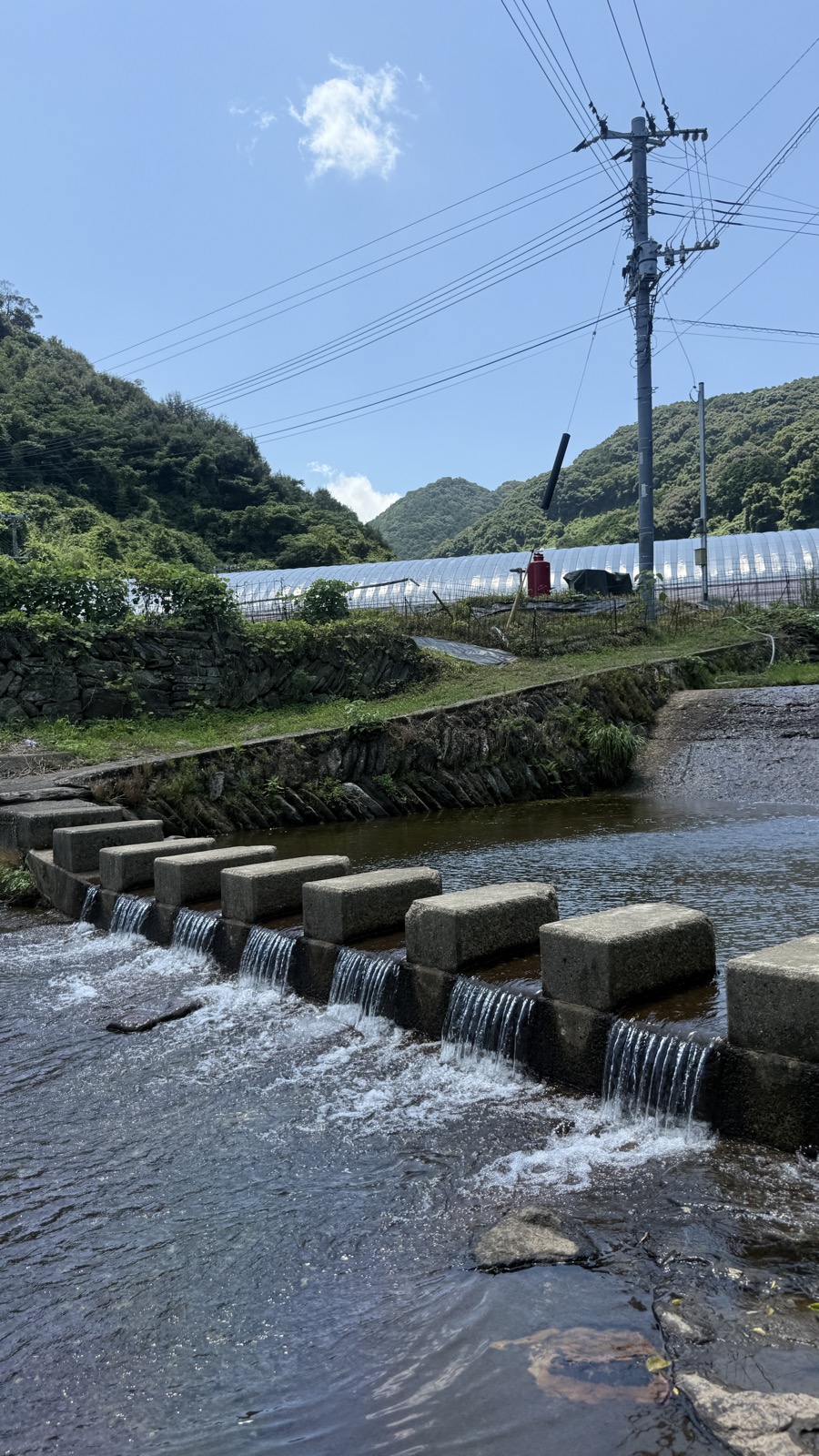 四戸の川。飛び石のあいだを水が白く流れおち、むこうにビニールハウスと緑の山が見える