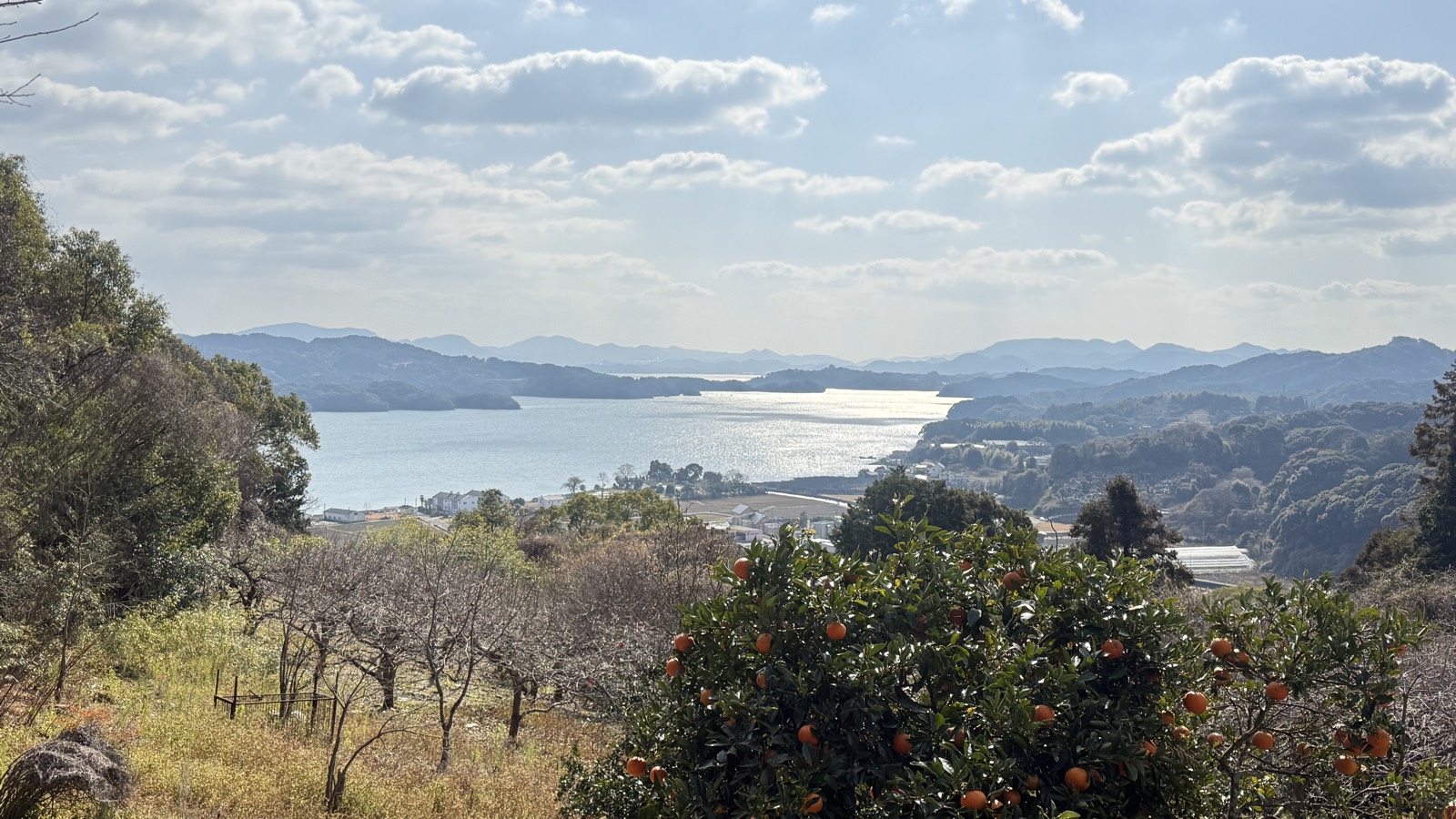 丘の畑ごしに見おろす形上の集落と湾